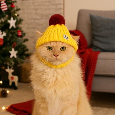 Accessoire pour animal de compagnie Chapeau pour chien chaud en tricot Oreilles découvertes Coupe-vent Casquette pour animal de compagnie Couvre-chef pour animal de compagnie tricoté à la main pour chats Chiots