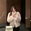 Autumn and Winter New Imitation Fox Fur Coat Fashionable Light Temperament Warm Thickened Coat
