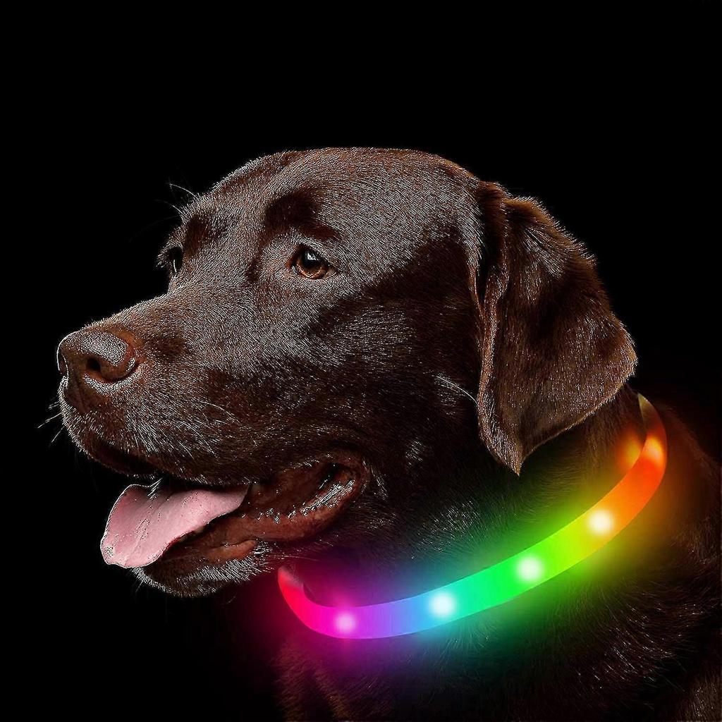 Led Dog Collar , Rechargeable Rainbow Color Changing Light Up Dog Collars, Waterproof Dog Lights Make Pet Visible And Safety For Night Walkingrainbow