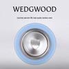 Wedgwood Goldpulver Jahre Sport Isolierbecher