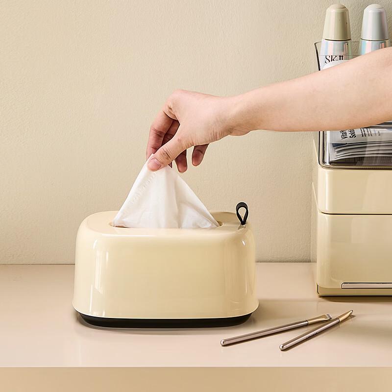 Cream Style Desktop Spring Tissue Box (Set of 2)