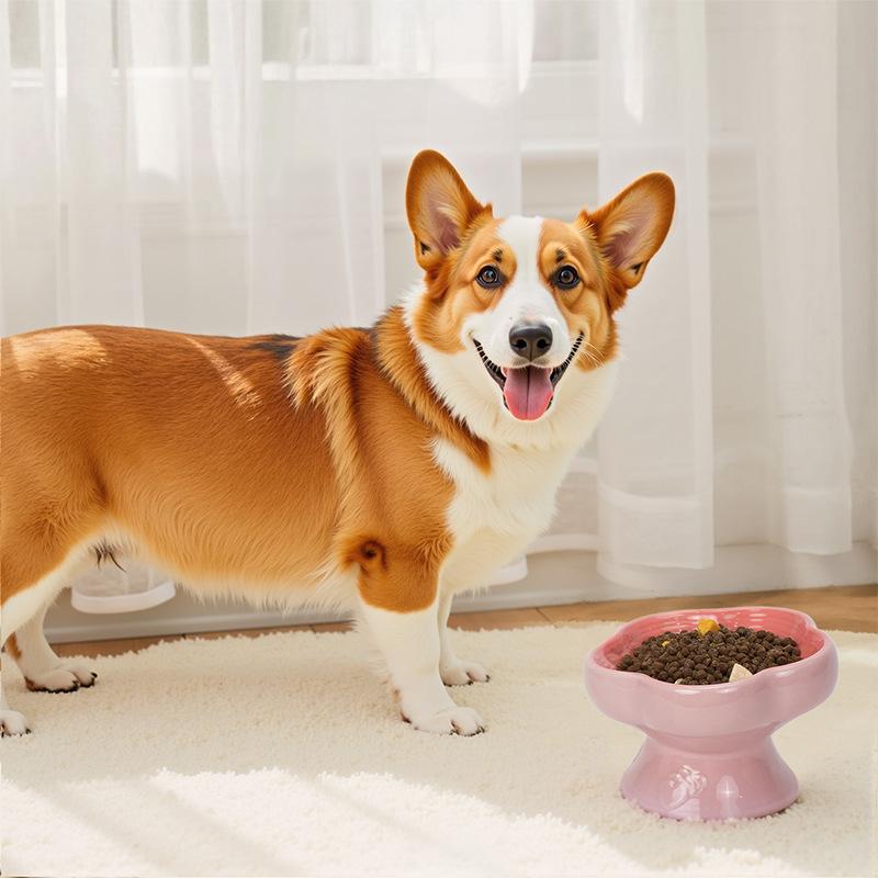 Heart-Shaped Ceramic Pet Water Bowl - Elevated, Splash-Proof, Moisture-Proof, Ideal for Cats and Dogs