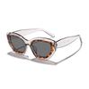 Ryan leopard print irregular cat eye sunglasses women's European and American advanced sense personalized outdoor street sunshade sunglasses