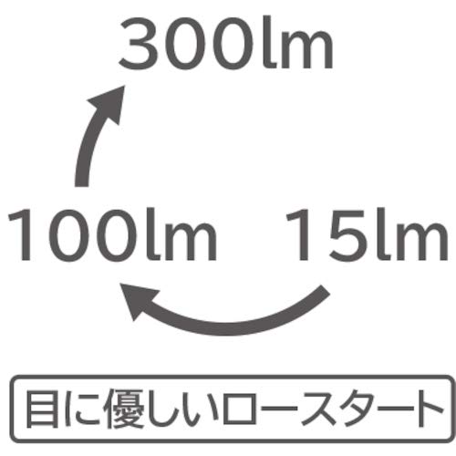 Tajima LED-Scheinwerfer Weiß Helligkeit bis zu 300lm 35h Beleuchtung bei 15lm Batterie separat erhältlich LE-F305D-SP
