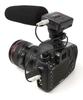 TASCAM Linear PCM Recorder for Cameras with Shotgun Microphone DR-10SG