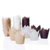 Tulip Baking Paper Cups