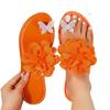 Foreign trade flower pinch foot flip-flops women wear beach flat women's shoes 2025 new European and American fashion