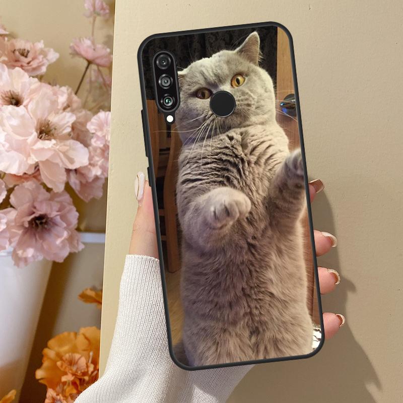 British Shorthair Cat For Huawei Nova 7i 8i 11i 12i 12s Y73 Y70 Y90 Y60 Y72 Y61 Y91 9 10 SE P30 Pro P40 Lite Case