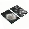 Multifunctional Decorative Glass Boards with Dandelion Print 2x30x52 Cm