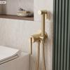 Gold Brush Grace Concealed Bidet Faucet