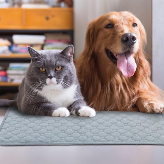 2Pcs Dog Training Pads Washable Waterproof Potty Mats Leak-Proof Reusable Travel Pads