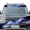 Accesorii de exterior – Autocolante pentru auto