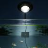 Full Spectrum Fish Tank Clip Lamp Adjustable Brightness Flexible Stem Aquatic Plant Grow Light Color-changing Eye-friendly