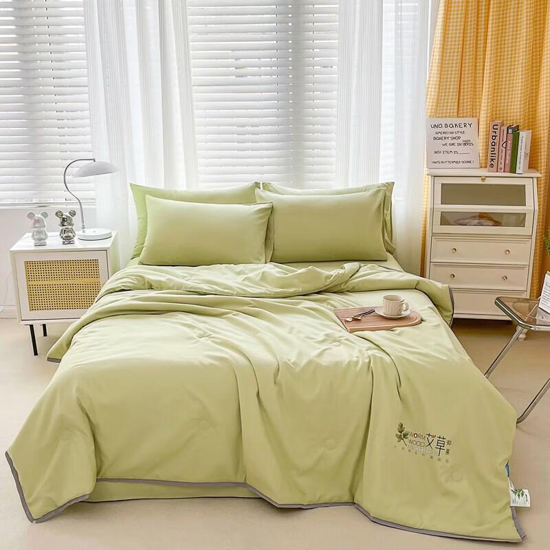 Saint Fanny Mugwort Anti-Mosquito Summer Quilt