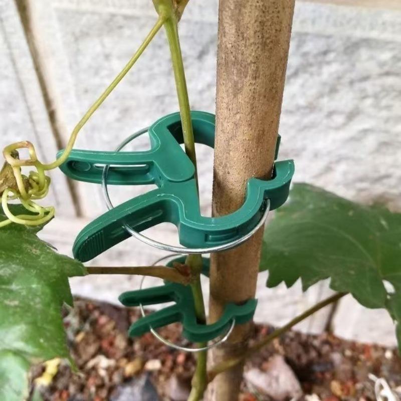10PCS Gardening Plant Gardening Clip Tomato Flower Garden Plastic Fixed Clip Green Garden Clip