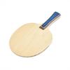 Table Tennis Blade Physical Education Anatomic Bat
