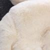 2023 Children Clothing Autumn Winter New Girl Children Imitation Fur Cotton-padded Jacket Ears Thickened Jacket Winter Fashion Warm Coat