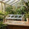 Acrylic Quail Feeding Station Compact Dispenser Sturdy