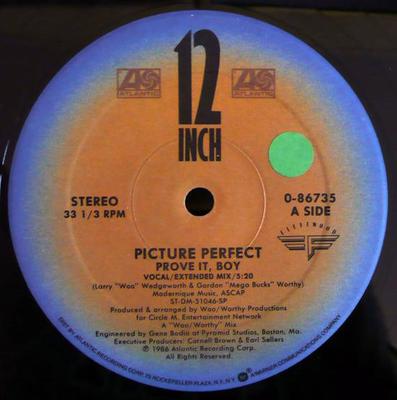 12inch Record PICTURE PERFECT - Prove It, Boy 086735 Fleetwood Recor 1986 US Dance & Electronica Used