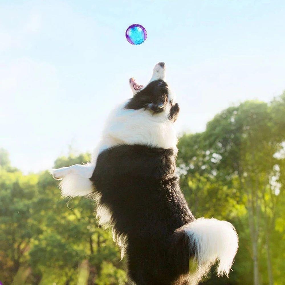 TPR Pet Supplies Relieve Boredom Outdoor Play Elasticity Ball Molar Ball Dog  Toy Sounding Toy
