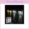 Solar Powered Wall Mount 2 Led Lantern Light For Stylish Outdoor Landscape Gardens