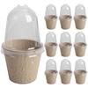 10Pcs Seedling Cup Seed Starter Transparent Lid Cultivation Pot Biodegradable Plant Growing Cup Versatile Gardening Supplies