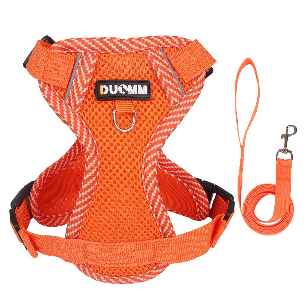 Dog Harness Leash Small Dog Pet Chest Strap Puppy Bichon Frise Breathable Harnesses Teddy Dog Leash Pet Leash Dog Accessories