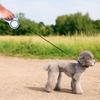 Wear-resistant Retractable Dog Leash Anti-bite Dog Walking Leash Pet Dog Leash  Training