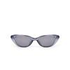 Mitaseongeullaseu Honokalani Tinted Sunglasses Mt005564C5 Gray