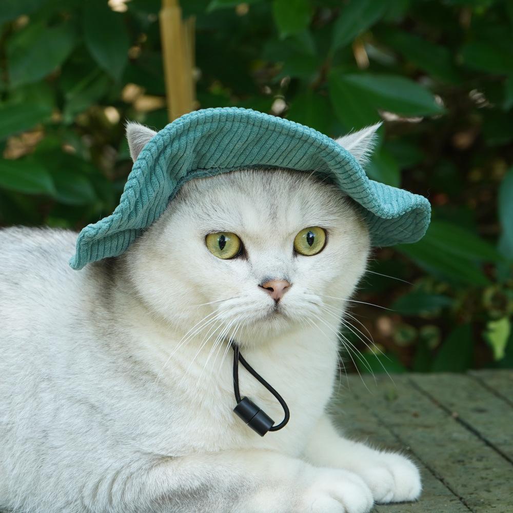 Niedlicher Schatten Haustier Cowboyhut Ohren freiliegend süß tun Katzenhut Haustier Sommer Verkleidungszubehör