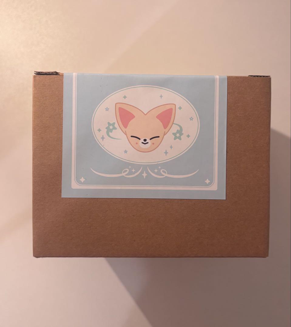 

[Б/У] Straykids Foxxy Миска для хлопьев POPUP Пусан