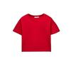 Spring New Fashion Sweet and Spicy All-Matching Slim Fit Slimming Round Neck T-shirt Shory Style Pure Color T-shirt 2335259