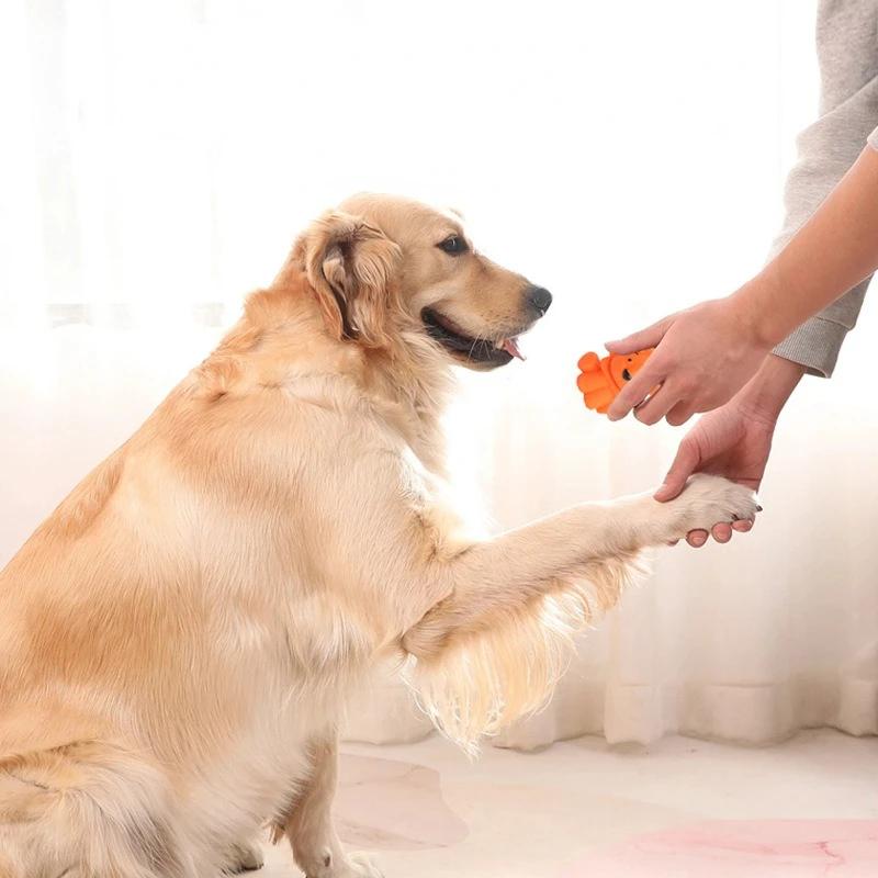 Cute Latex Chew Toy for Dogs Soft Squeaky Puppy Toy Small Medium Breed Poodle Border Collie Pet Chewing Teeth Cleaning