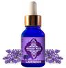 Wonder Monk Lavender Diffuser Oil | Essential Oil | Skin, Acne, Hair Fall, Relaxing Sleep, Aromatherapy & Body |Pure, Natural & Undiluted| 50ml L
