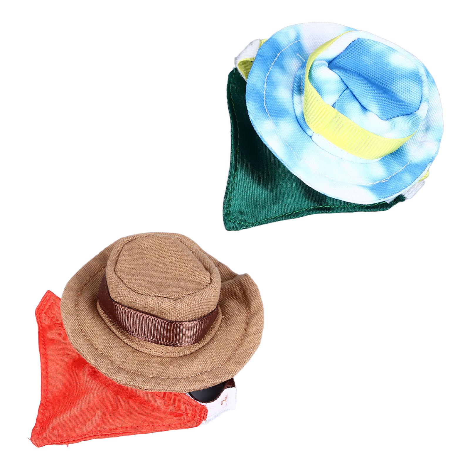 Костюм рептилии на Хэллоуин в виде ковбойской шляпы и банданы с бородатым драконом — фото 9