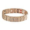 Stainless Steel Bracelet, Fashionable Double-row Magnet Energy Bracelet, Titanium Steel Men's Bracelet, Bracelet.
