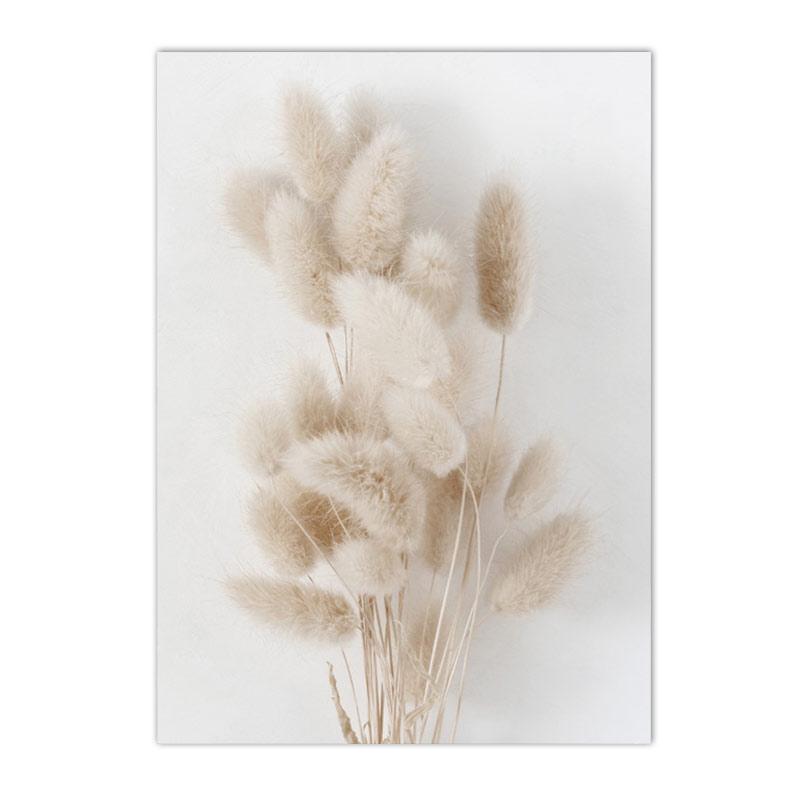 Béžový Bunny Tail Grass Nástěnné plakáty Přírodní pampy Reed Obraz na plátně Květinový umělecký plakát Malba Severské nástěnné obrazy Home Decor