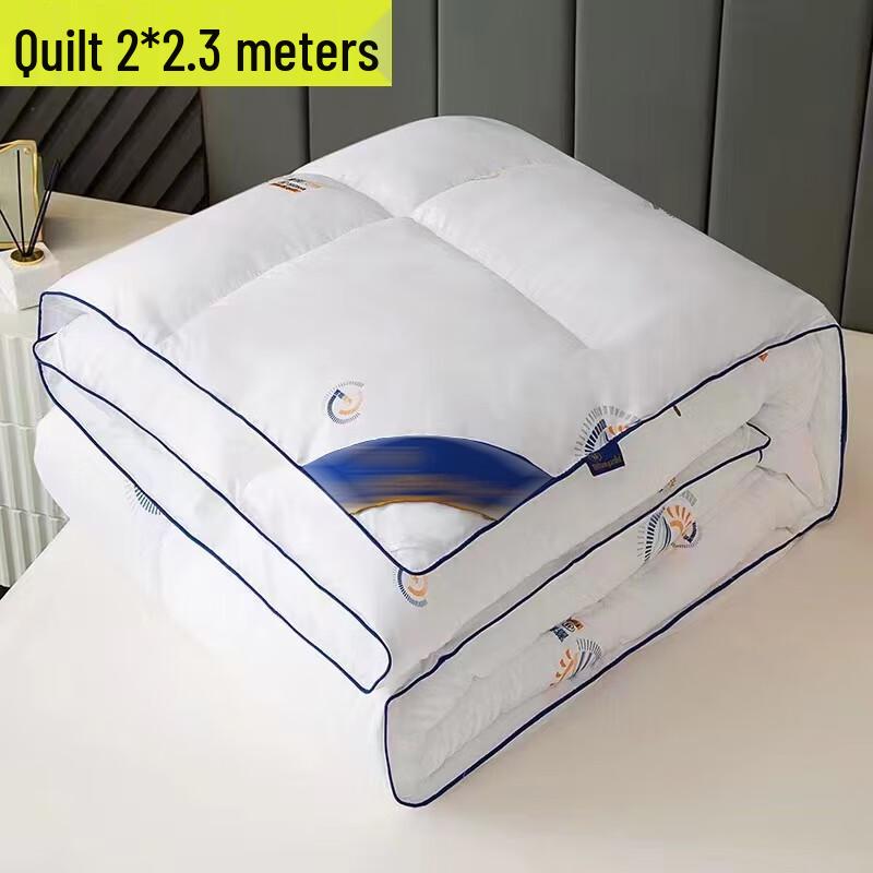 

Bobbie Ronnie All-Season Soy Fiber Quilt Set with 2 Latex Pillows