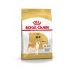 Royal Canin Shiba Inu Adult Dog for Dogs 10 Months and Balanced Nutrition for Healthy Digestion Food, 3kg, BHN, Up, (3kg)