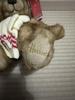 [USED] Harrods Teddy Bear