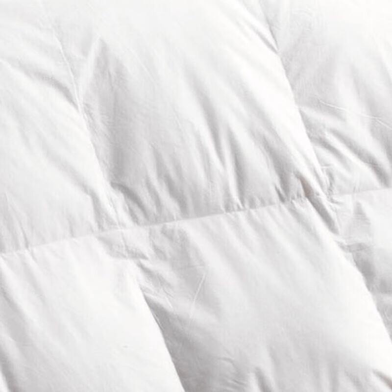 Faunen Luxury All-Season Cotton Comforter