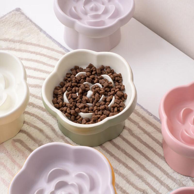 Shuoni Elevated Ceramic Slow Feeder Pet Bowl