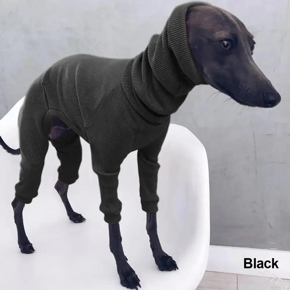 Moda a quattro zampe costola vestiti per cani dolcevita maglione per animali domestici per Whippet levriero italiano pullover invernale tuta per cani di grossa taglia