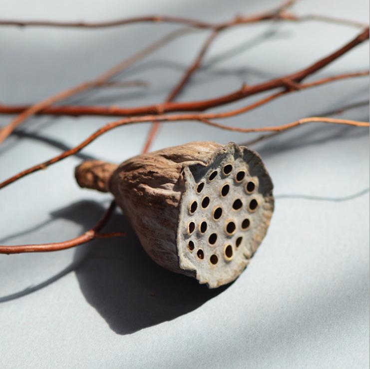 Natural Zen Style Large Lotus Head with Seeds, Dried Fruit, and Mini Lotus for Christmas Home Decoration.