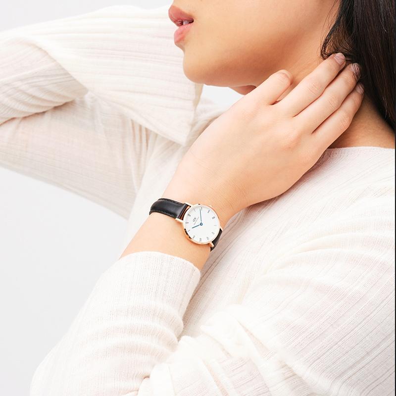 DANIEL WELLINGTON PETITE Series Watch Quartz Movement White Dial Women's Watch Waterproof 30 Meters DW00100683