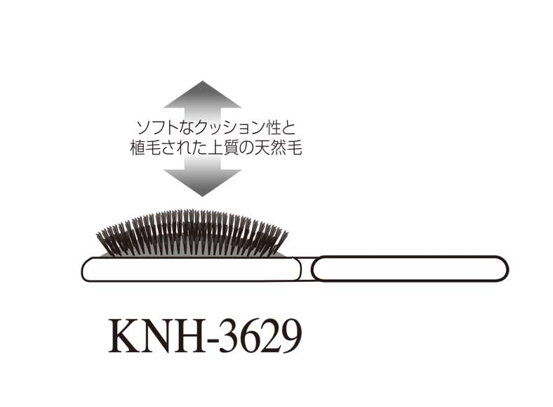 Ikemoto Brush Natural Bristle Cushion Bristle Medium Made In Japan Hairbrush/IKMT Brush, Hardness (M), IKH3629,