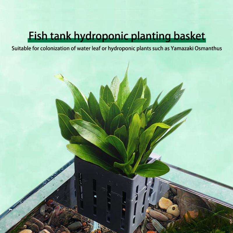 Practical Hydroponic Basket Aquarium Plant Holder Aquatic Planter Classic Rimmed Tank Hangings Tanks Aquascape Decorations