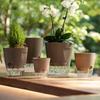 Vasi Auto-Annaffianti per Piante da Interno Moderni in Plastica per Orchidee Succulente Erbe Fiori Decorazione Casa Ufficio