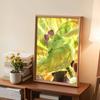 DIY Diamond Painting The Dancing Prince and Princess Cross Stitch Kit Mosaic Art Diamond Painting Full Circle Diamond Home Decoration
