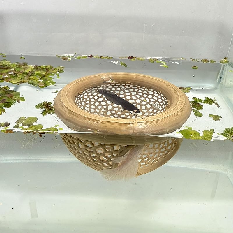 Aquarium schwebende Höhle Fisch Garnelen Versteck Unterschlupf 3-in-1 Hängematte Futterring & Ruheplatz für Betta kleine Wassertiere